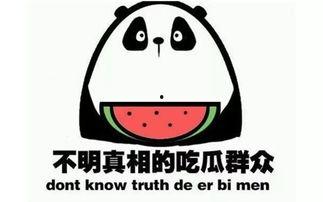 吃瓜群免费最新,带你走进神秘的网络世界  第3张